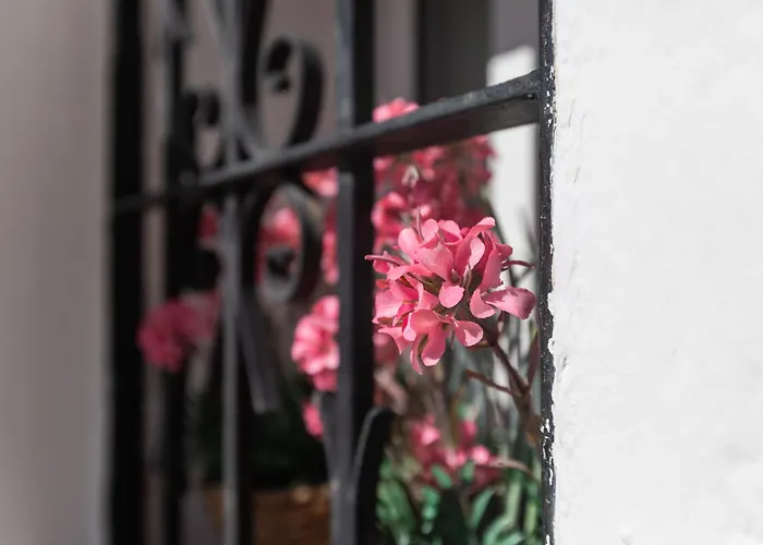 Tetuan Boutique In Old Town